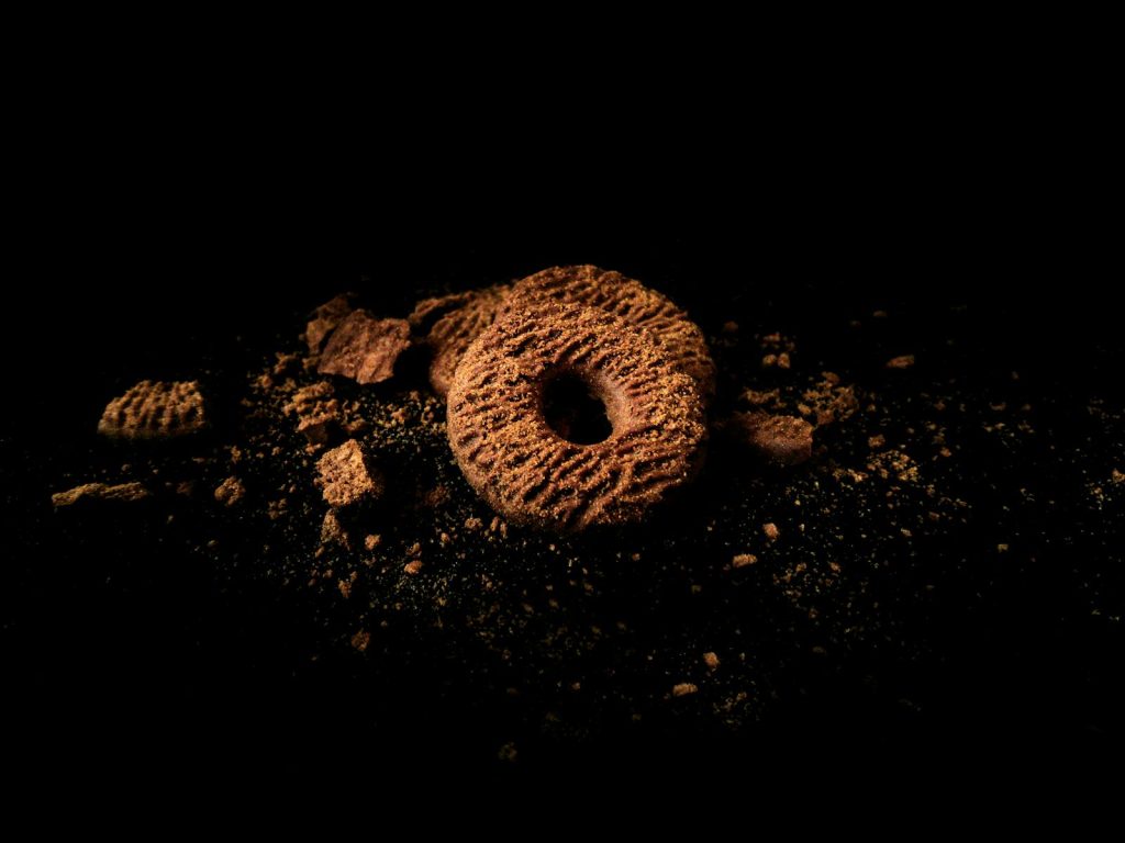 Cocoa Cookies with Crumbs